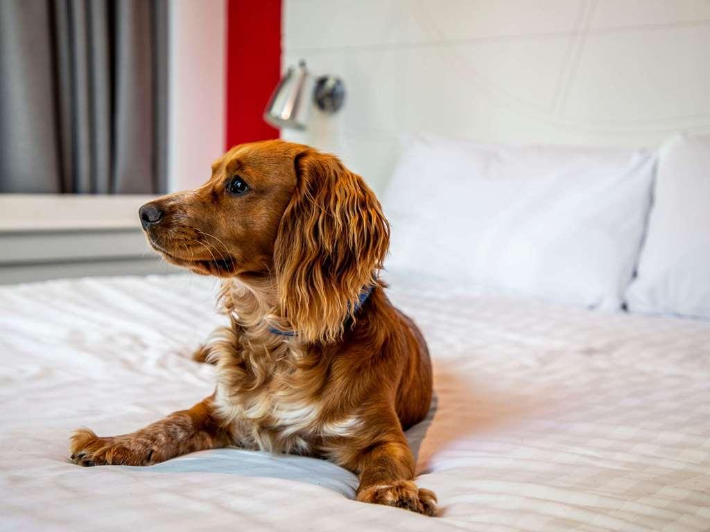 Ibis Styles Glasgow Central Номер фото
