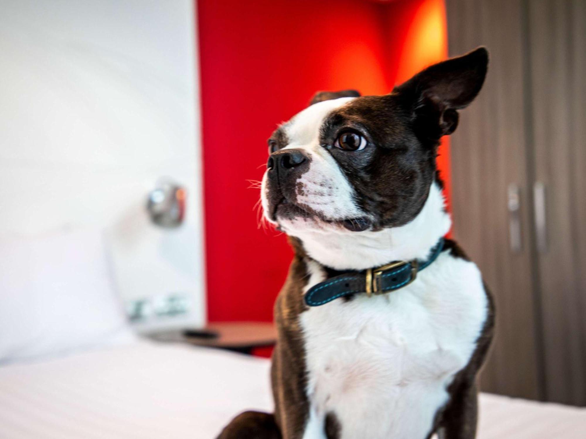 Ibis Styles Glasgow Central Екстер'єр фото